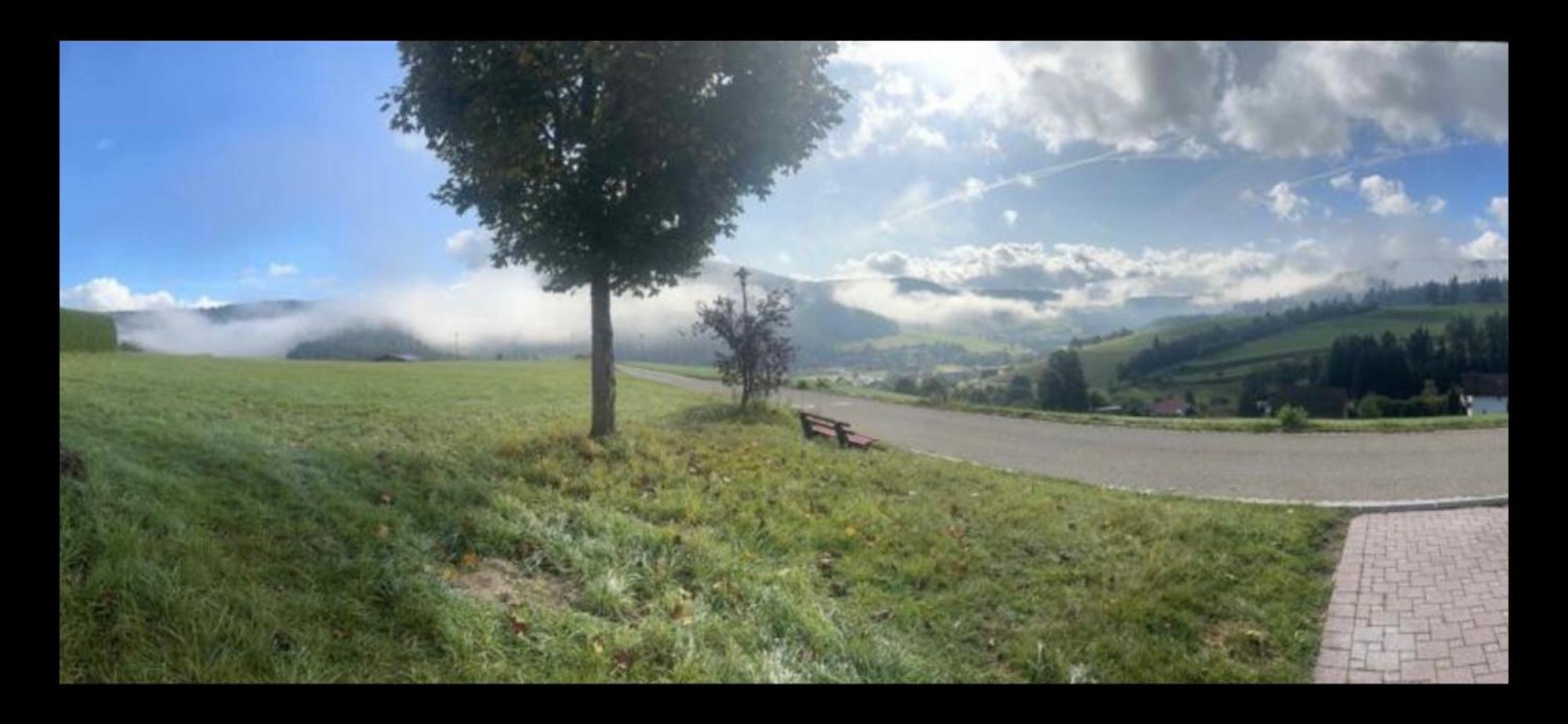 Angelina Appartement Baiersbronn Buitenkant foto