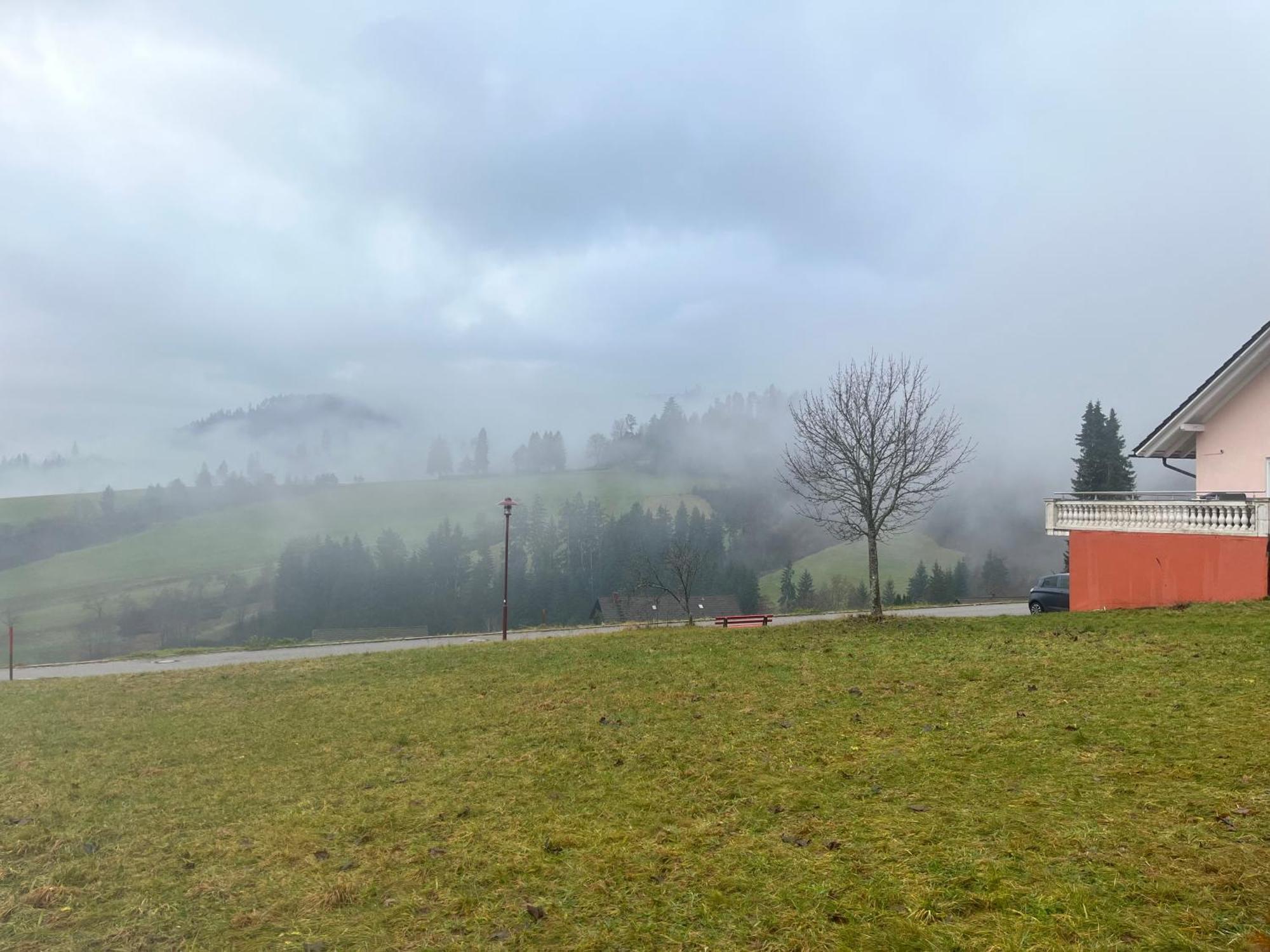 Angelina Appartement Baiersbronn Buitenkant foto