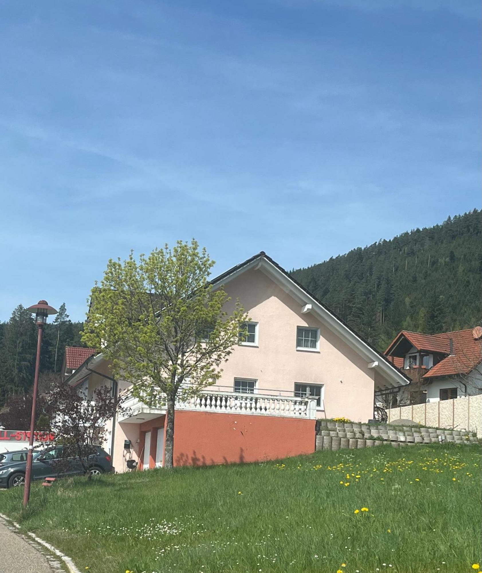 Angelina Appartement Baiersbronn Buitenkant foto