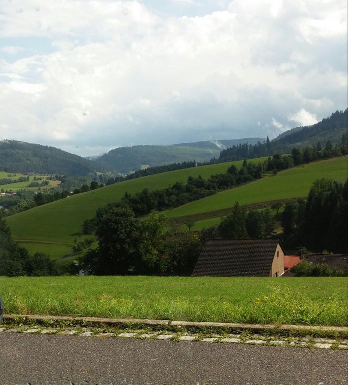 Angelina Appartement Baiersbronn Buitenkant foto