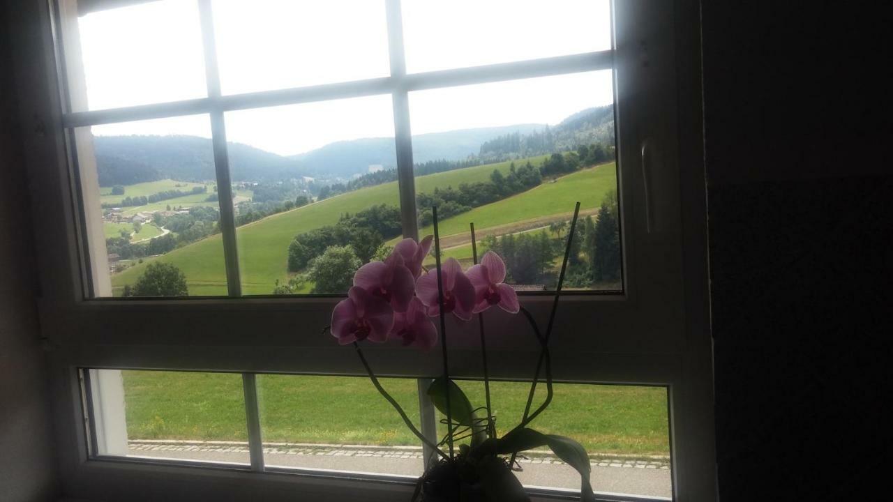 Angelina Appartement Baiersbronn Buitenkant foto