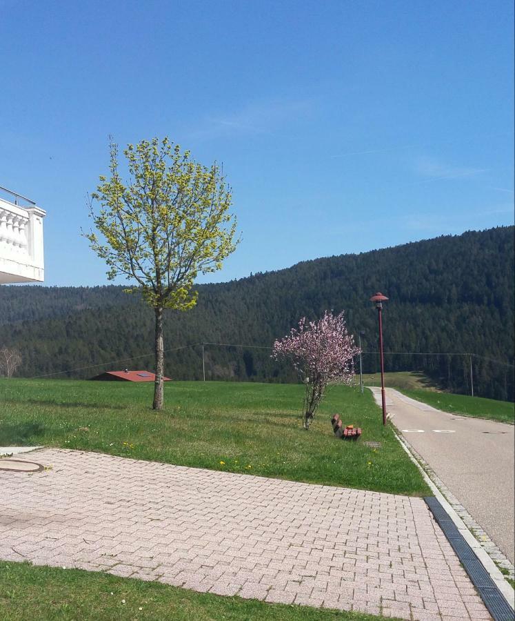 Angelina Appartement Baiersbronn Buitenkant foto